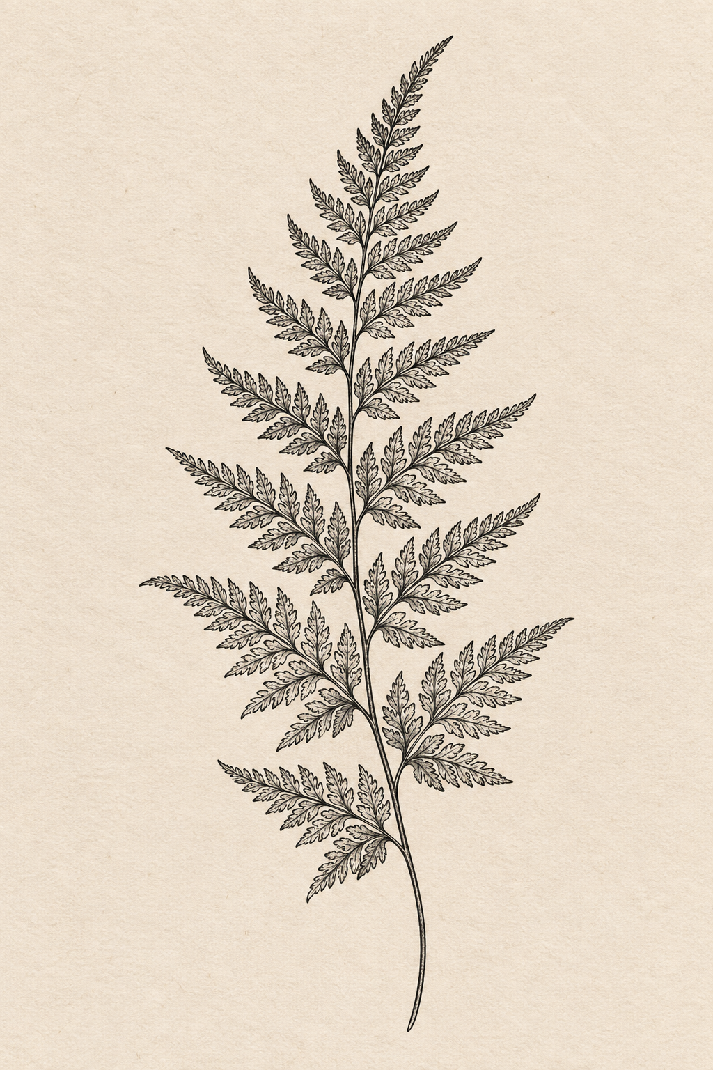 Delicate fern frond small nature tattoo idea