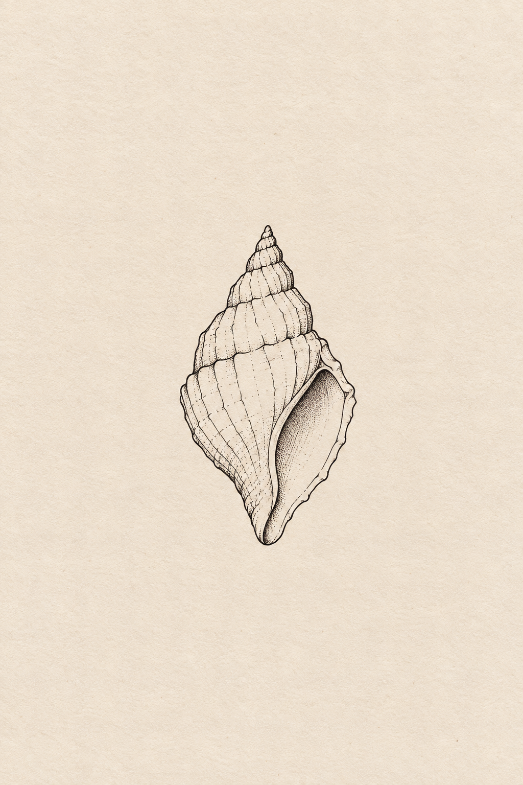Small seashell small nature tattoo idea