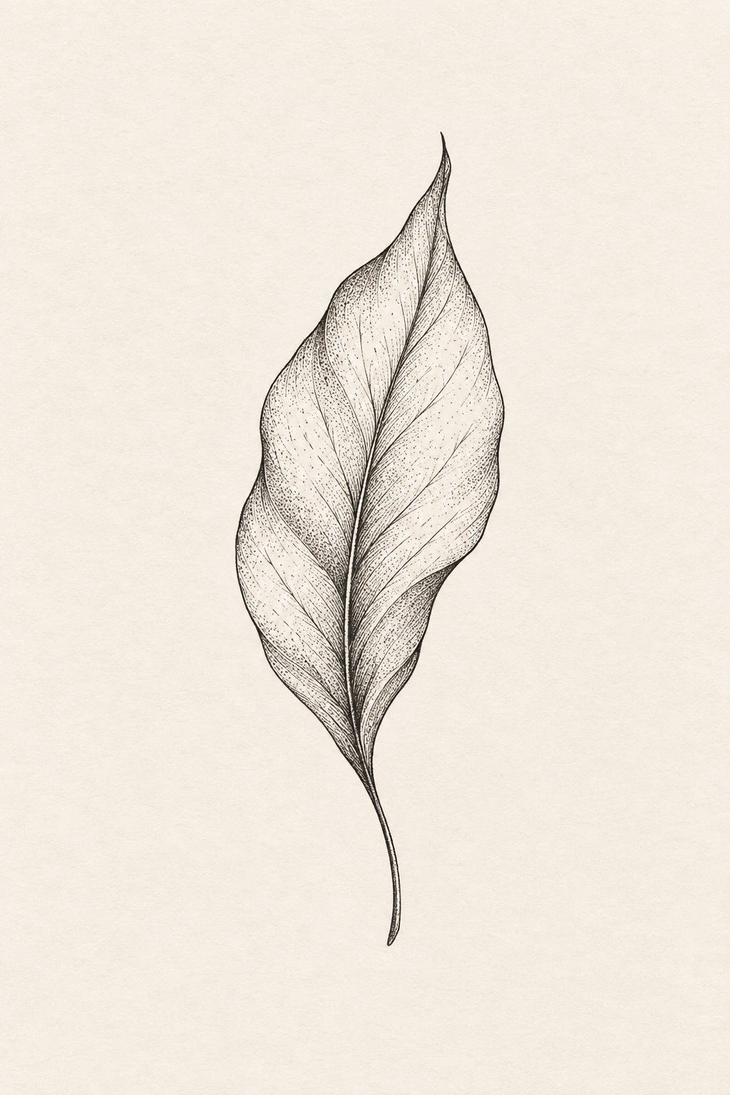 small black and white tattoos: Botanical leaf concept