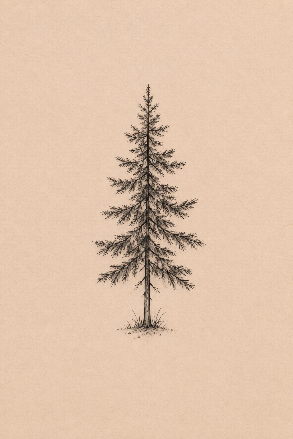 pine tree small tattoo with meaning